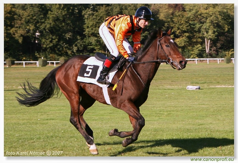 Bratislava - 14. oktbra 2007