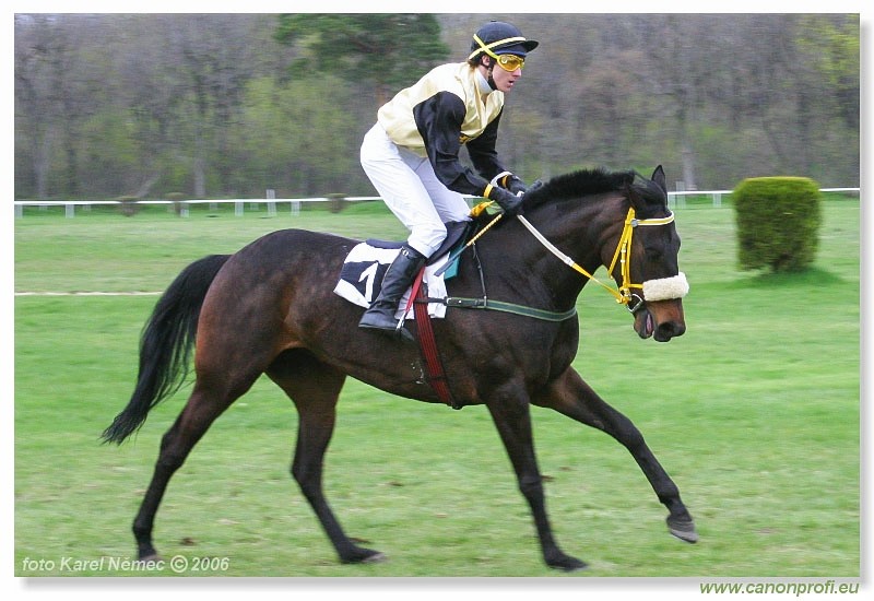 Bratislava - 16. aprla 2006