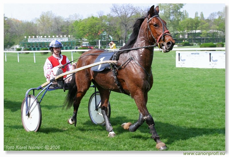 Bratislava - 23. aprla 2006