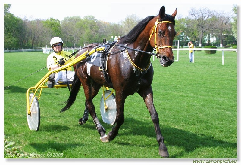 Bratislava - 23. aprla 2006