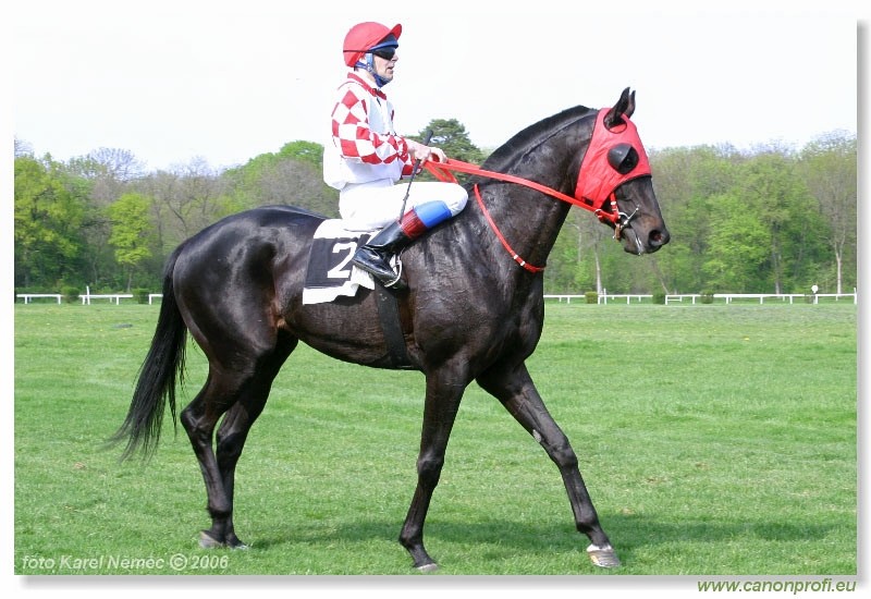 Bratislava - 23. aprla 2006