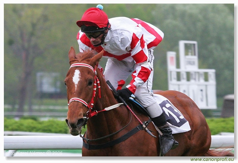 Bratislava - 23. aprla 2006