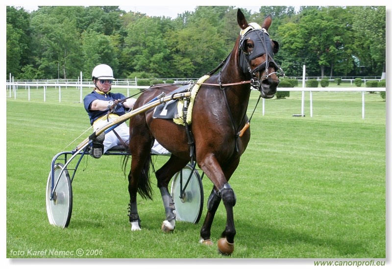 Bratislava - 14. mja 2006