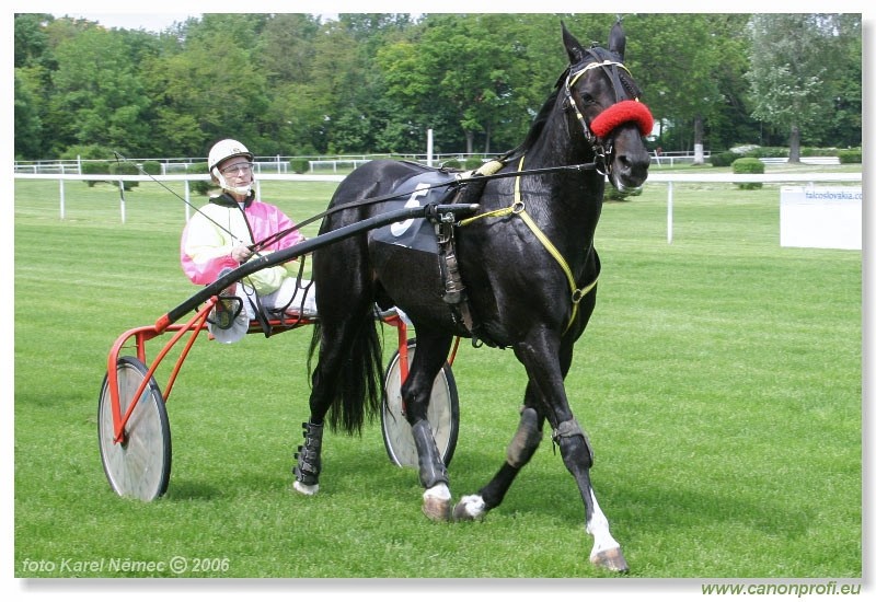 Bratislava - 14. mja 2006