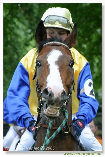 Bratislava - 14. mja 2006
