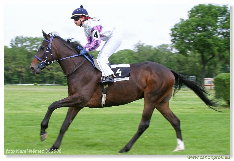 Bratislava - 14. mja 2006