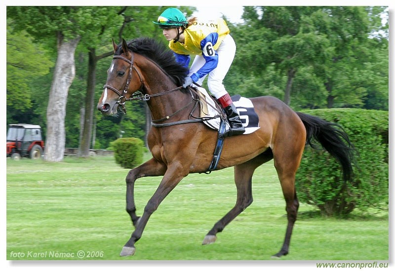 Bratislava - 14. mja 2006