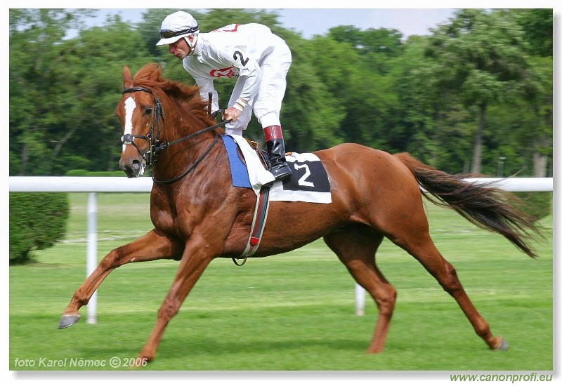 Bratislava - 14. mja 2006