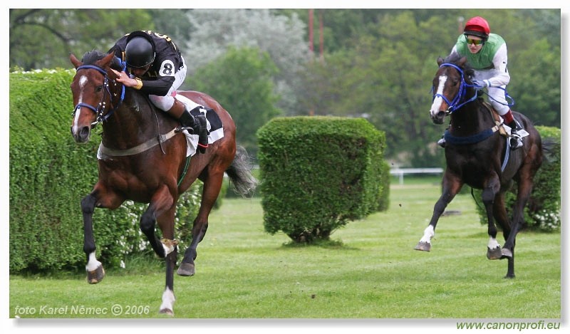 Bratislava - 14. mja 2006