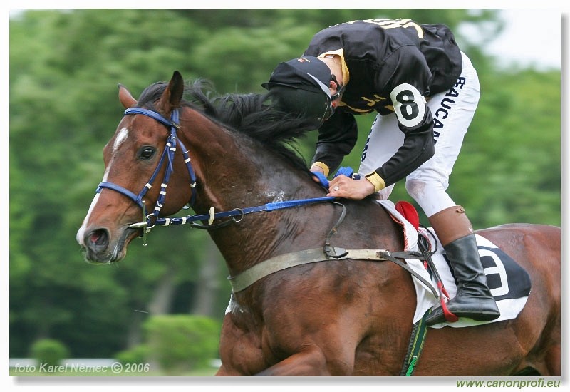 Bratislava - 14. mja 2006
