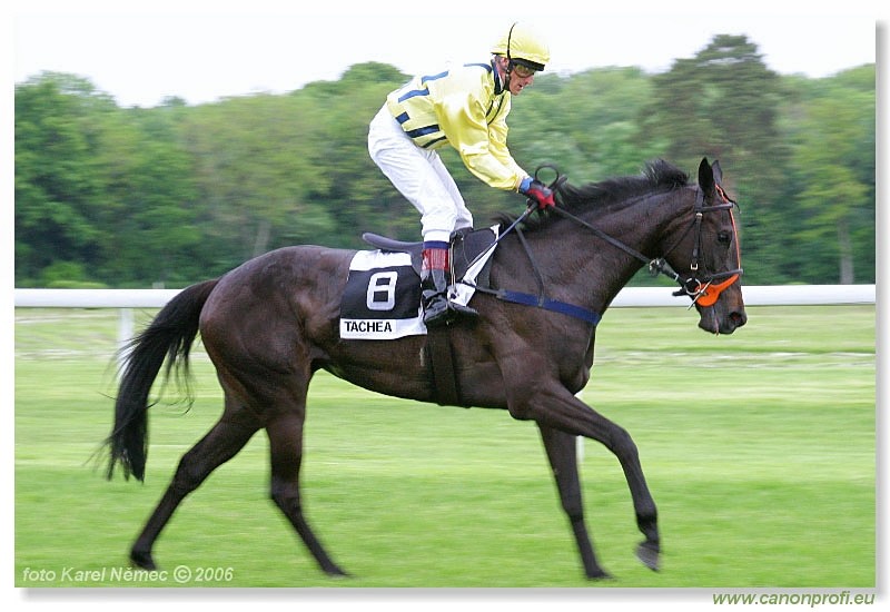 Bratislava - 14. mja 2006