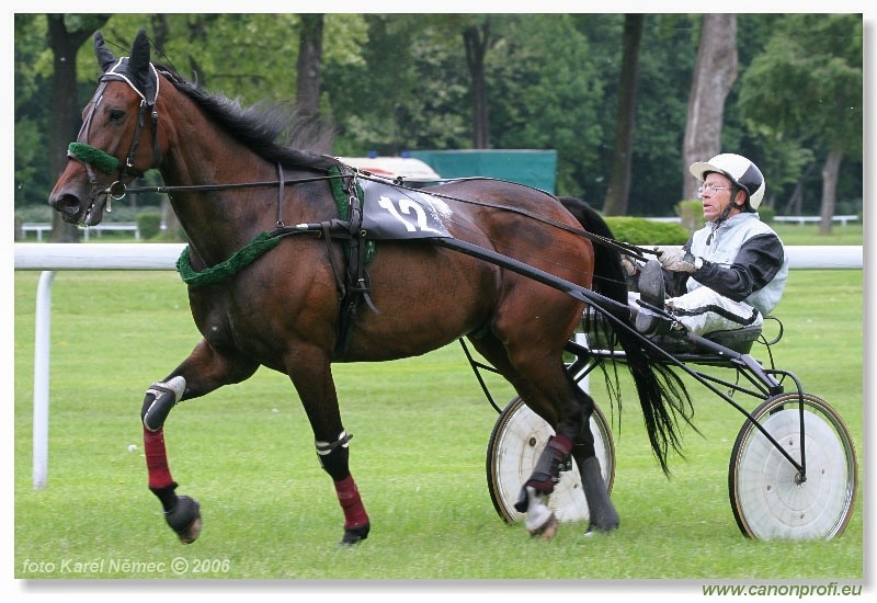 Bratislava - 21. mja 2006