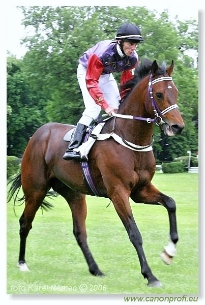 Bratislava - 21. mja 2006