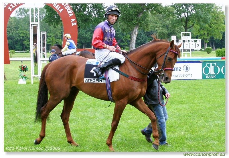 Bratislava - 4. jna 2006