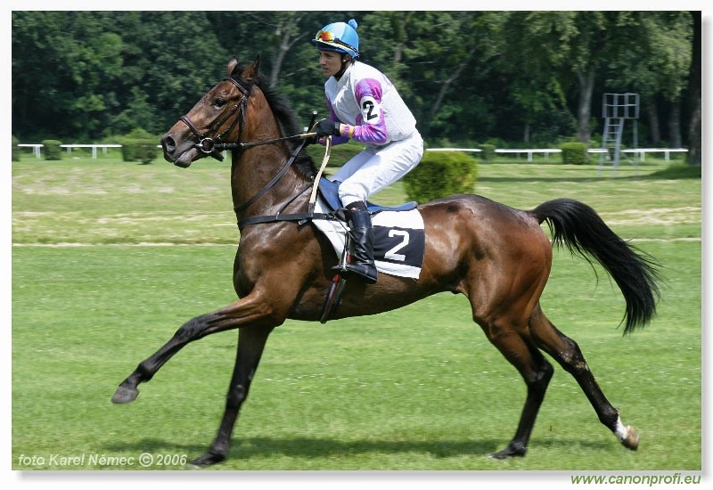 Bratislava - 25. jna 2006