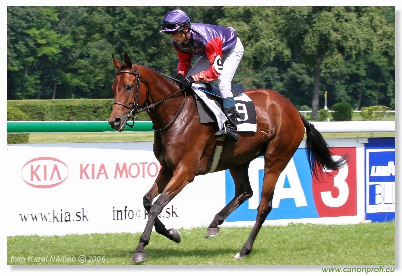 Bratislava - 25. jna 2006