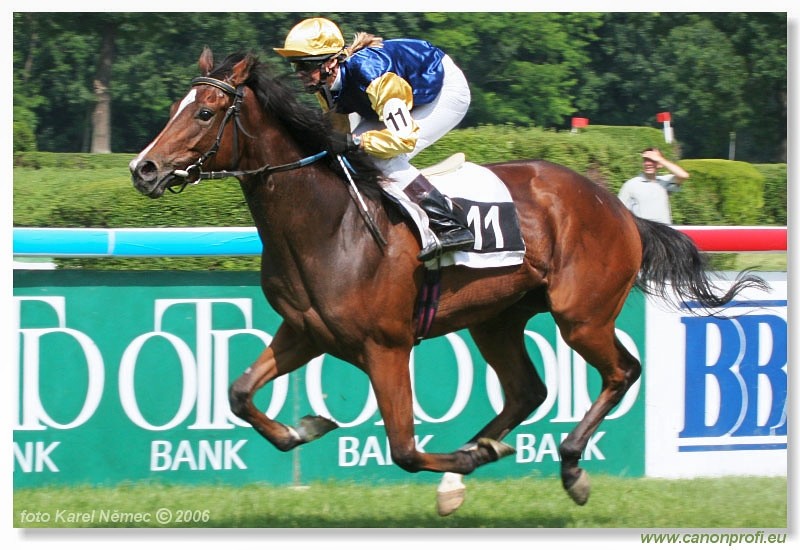 Bratislava - 25. jna 2006