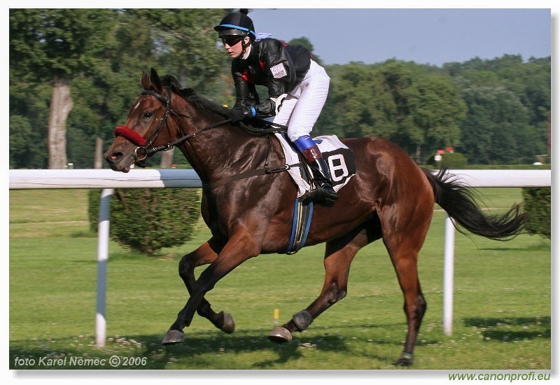 Bratislava - 25. jna 2006