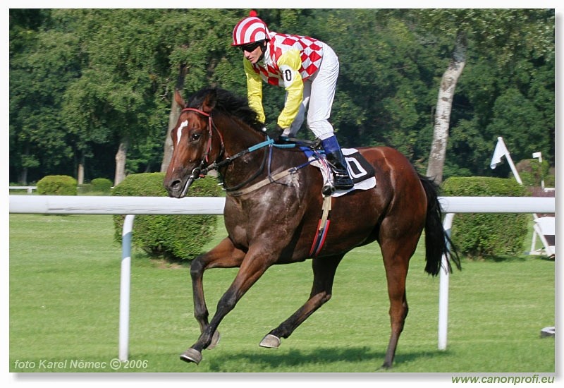 Bratislava - 25. jna 2006