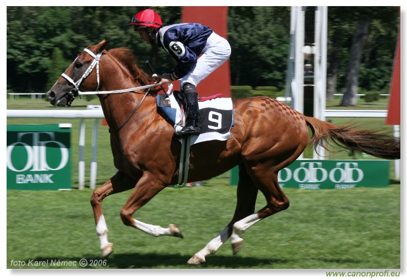Bratislava - 16. jla 2006