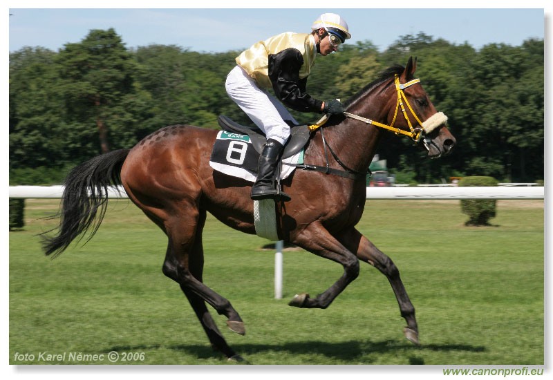 Bratislava - 16. jla 2006