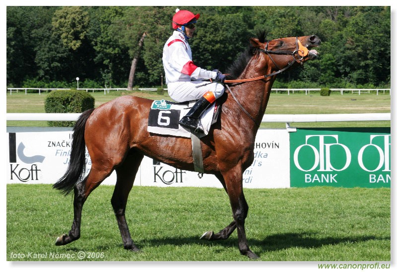 Bratislava - 16. jla 2006
