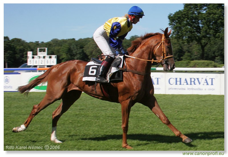 Bratislava - 16. jla 2006