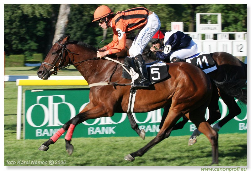 Bratislava - 16. jla 2006