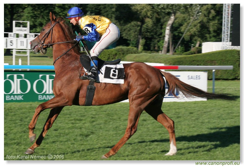 Bratislava - 16. jla 2006