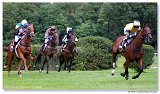 Vek starohjska steeplechase 