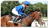 Handicap Zakinthosa 