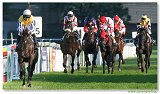 Saint Leger 