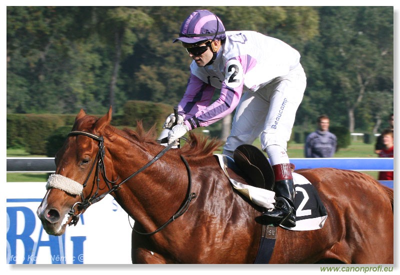 Bratislava - 15. oktbra 2006