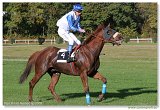 Handicap Vhu 