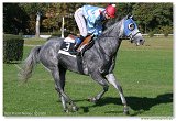 Handicap Vhu 