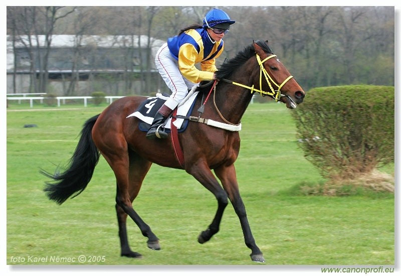 Bratislava - 10. aprla 2005