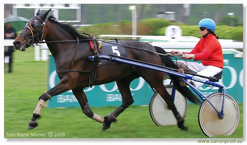 Bratislava - 17. aprla 2005