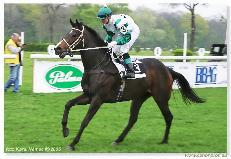 Bratislava - 17. aprla 2005