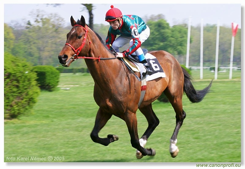 Bratislava - 24. aprla 2005