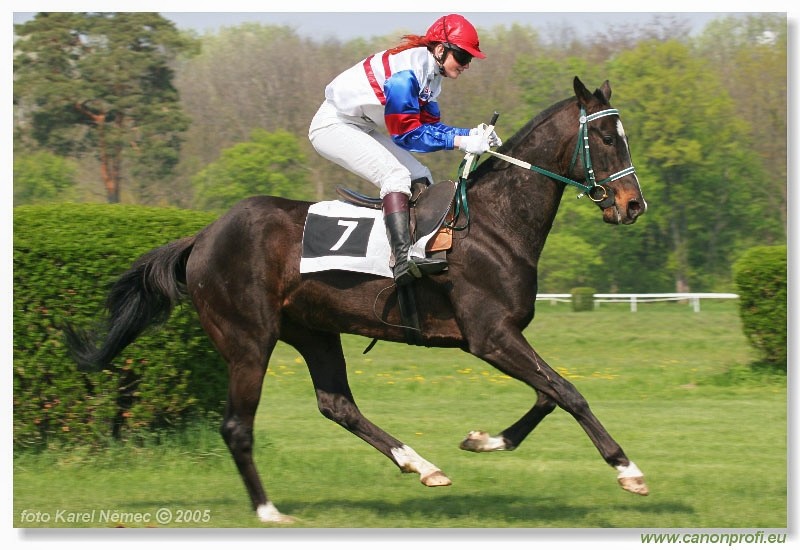 Bratislava - 24. aprla 2005