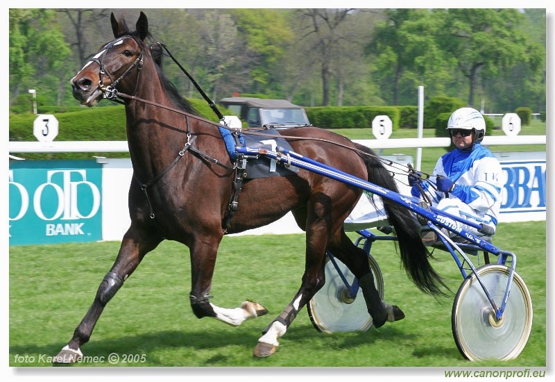 Bratislava - 24. aprla 2005