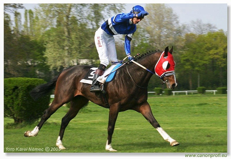 Bratislava - 24. aprla 2005