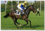 Handicap Vitalindy 