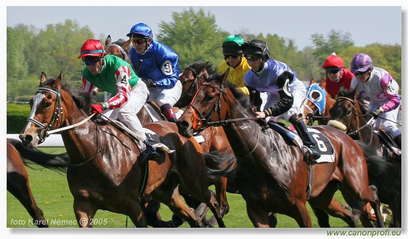Bratislava - 1. mja 2005