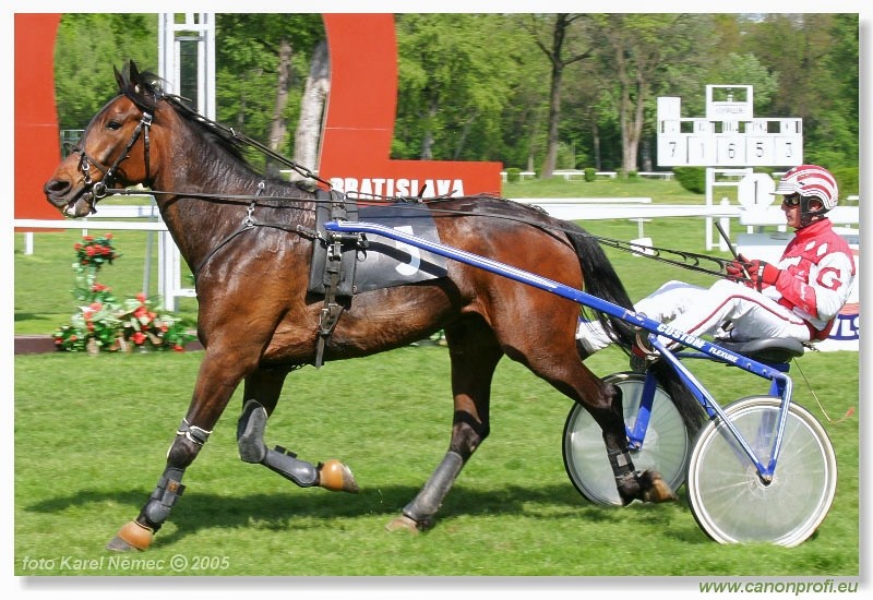 Bratislava - 1. mja 2005
