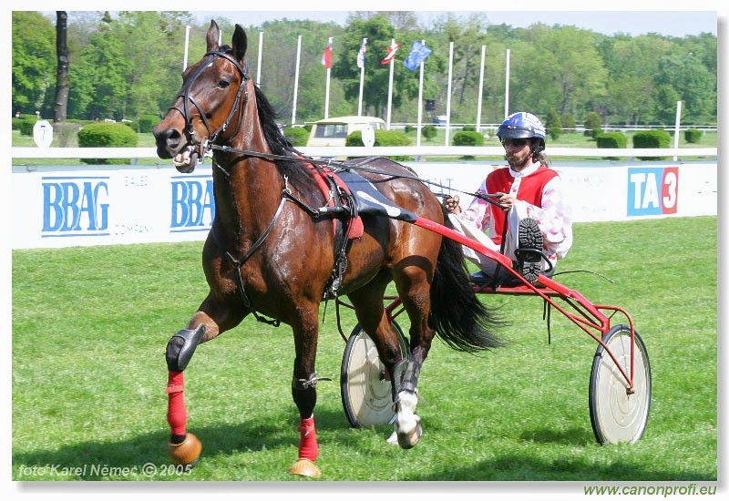 Bratislava - 1. mja 2005