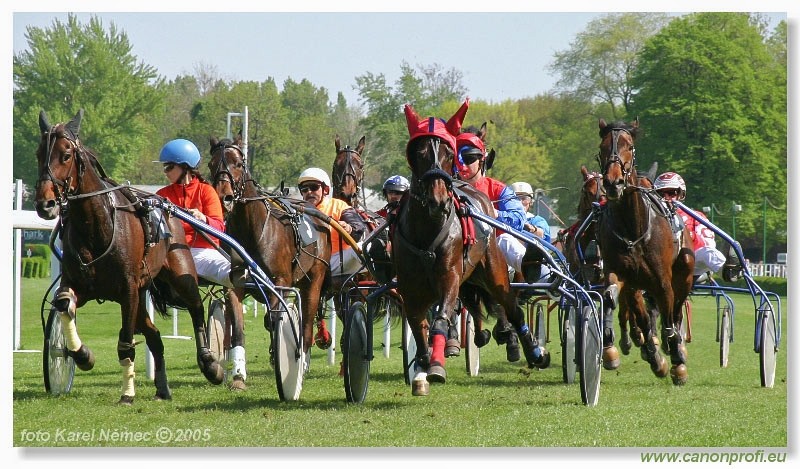 Bratislava - 1. mja 2005