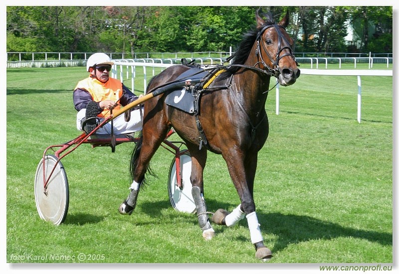 Bratislava - 1. mja 2005