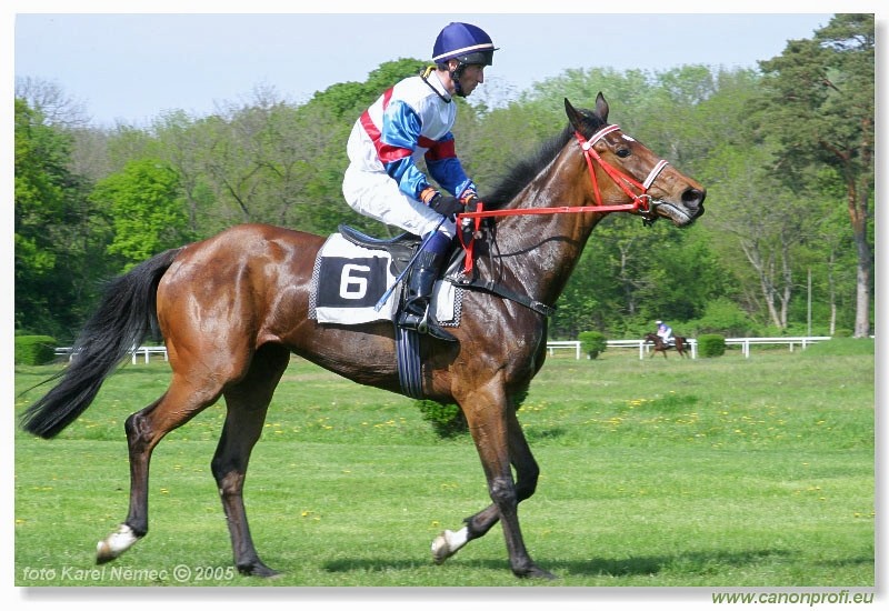 Bratislava - 1. mja 2005