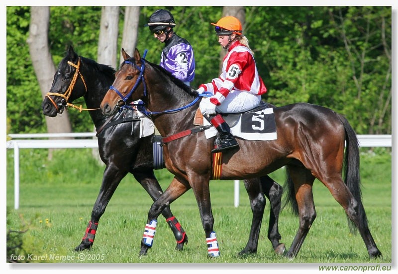 Bratislava - 1. mja 2005